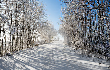 Image showing Winter road on a sunny frosty day