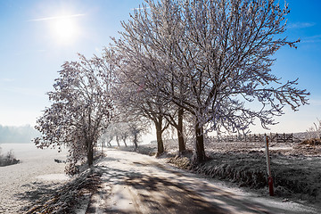 Image showing Winter road on a sunny frosty day