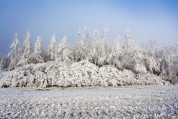 Image showing sunny frozen landscape