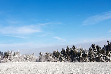 Image showing sunny frozen landscape with blue sky