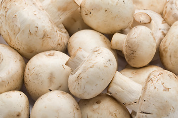 Image showing Champignon mushrooms