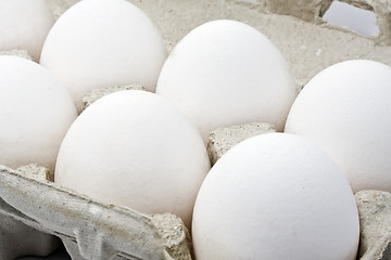 Image showing Fresh eggs