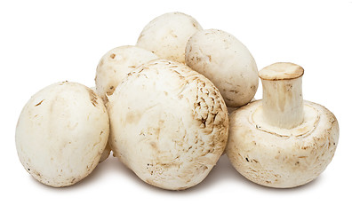 Image showing Champignon mushrooms