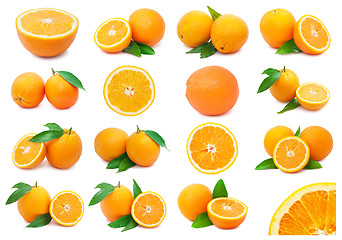 Image showing Oranges