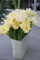 Image showing Tulips