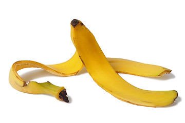 Image showing Banana Peel