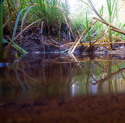 Image showing stream underwater and over water