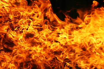 Image showing Fire