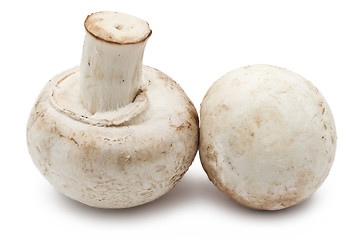 Image showing Champignon mushrooms