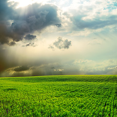 Image showing dramatic sky over green grass field