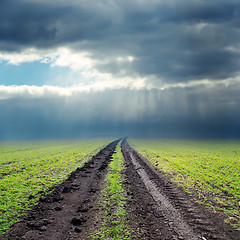 Image showing road in green field to low clouds in horizon