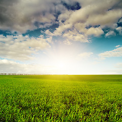 Image showing cloudy sunset and green agricultute field