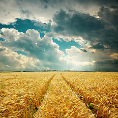 Image showing harvest field with track and low clouds over it