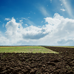 Image showing green and plowed fields under cloudy sky