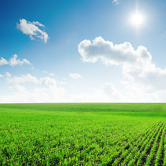 Image showing sun in blue sky with clouds and green field
