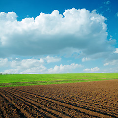 Image showing agriculrural fields and clouds over it