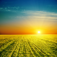 Image showing good sunset over green field