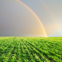 Image showing green field and rainbow in grey sky