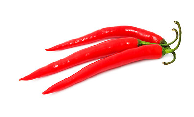 Image showing Hot chili pepper