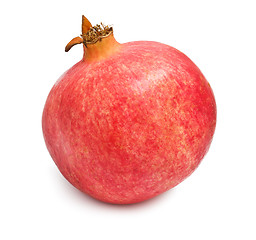 Image showing Pomegranate