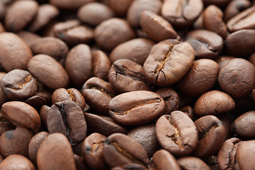 Image showing Coffee beans