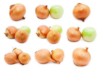 Image showing Onion