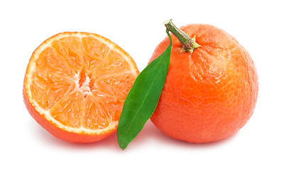 Image showing Tangerines