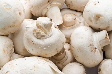 Image showing Champignon mushrooms