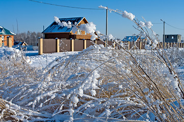 Image showing Winter.