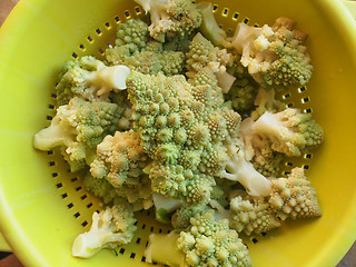 Image showing Romanesco Broccoli