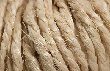 Image showing solid twine