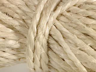 Image showing solid twine