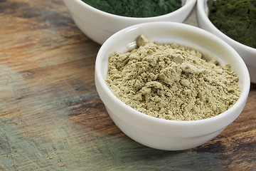 Image showing kelp seaweed powder