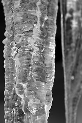 Image showing Icicle closeup