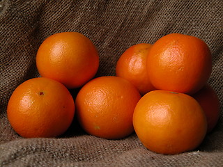 Image showing oranges