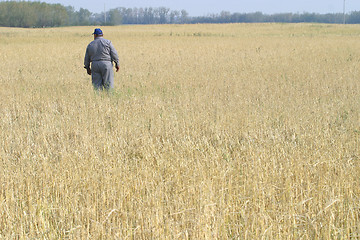 Image showing farmer in the field