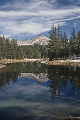 Image showing Yosemite National Park