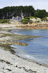 Image showing Pink Granite Coast