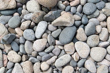 Image showing multicolored pebbles