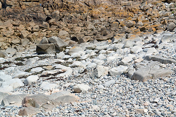 Image showing rocky coast detail