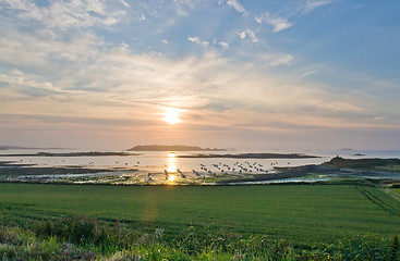 Image showing sundown at Pink Granite Coast