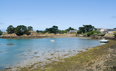 Image showing Pink Granite Coast