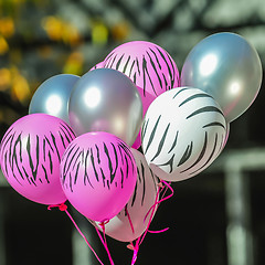 Image showing pink and white zebra balloons at breast cancer awareness