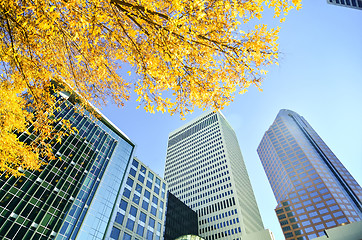 Image showing autumn view of a city skyline