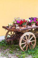 Image showing Tuscany flowers