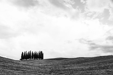 Image showing Tuscany before the storm