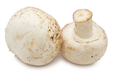 Image showing Champignon mushrooms