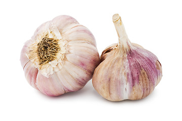 Image showing Garlic