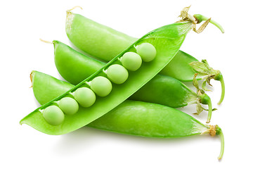 Image showing Pea