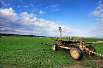 Image showing Turf farming, Australia